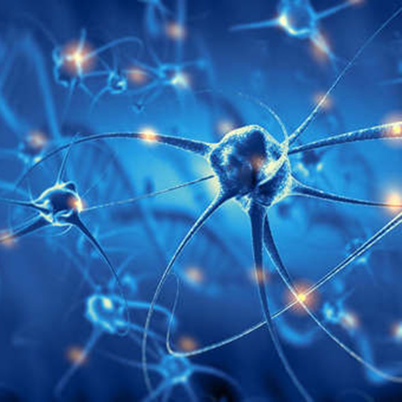Recherche et innovation pour la santé 9 neurologie